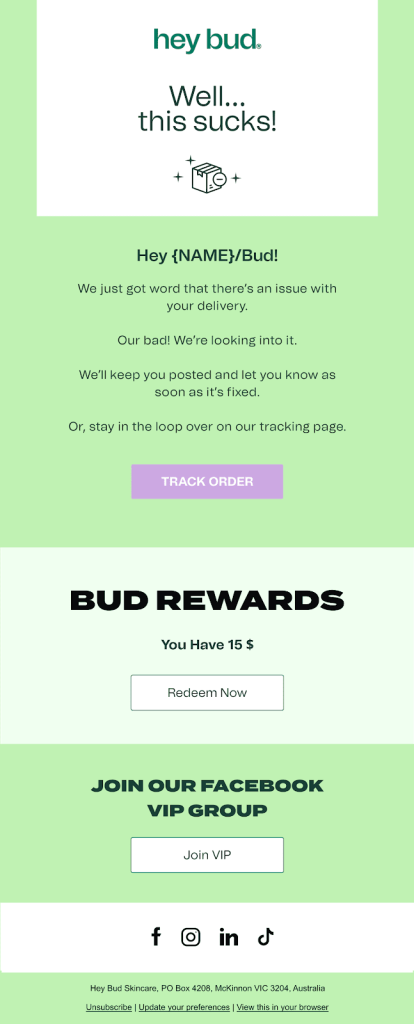 Shipping Delay Email