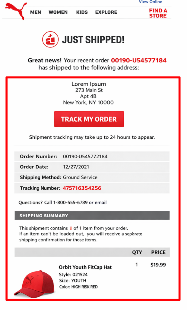 Shipping email: Body example